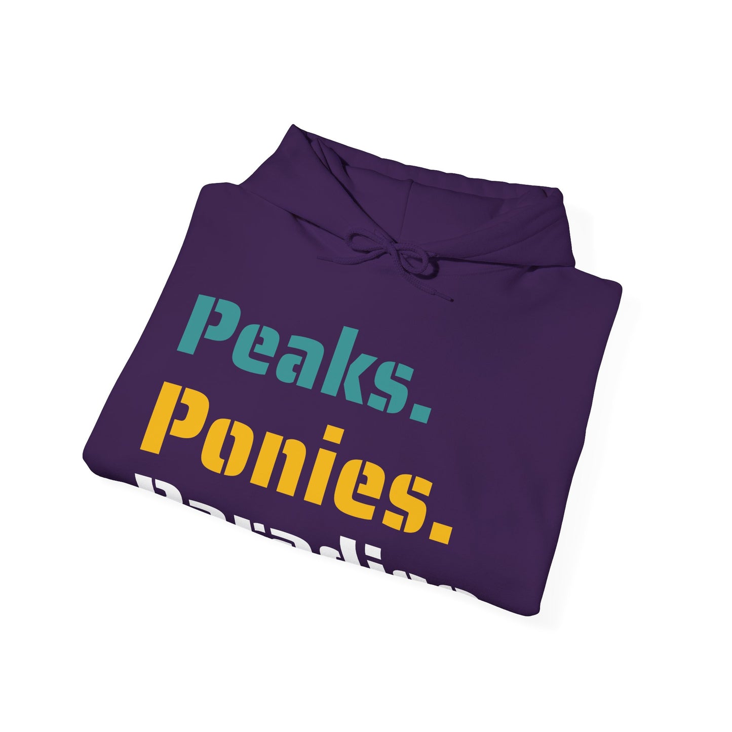 2025 Camp hoodie | Adults