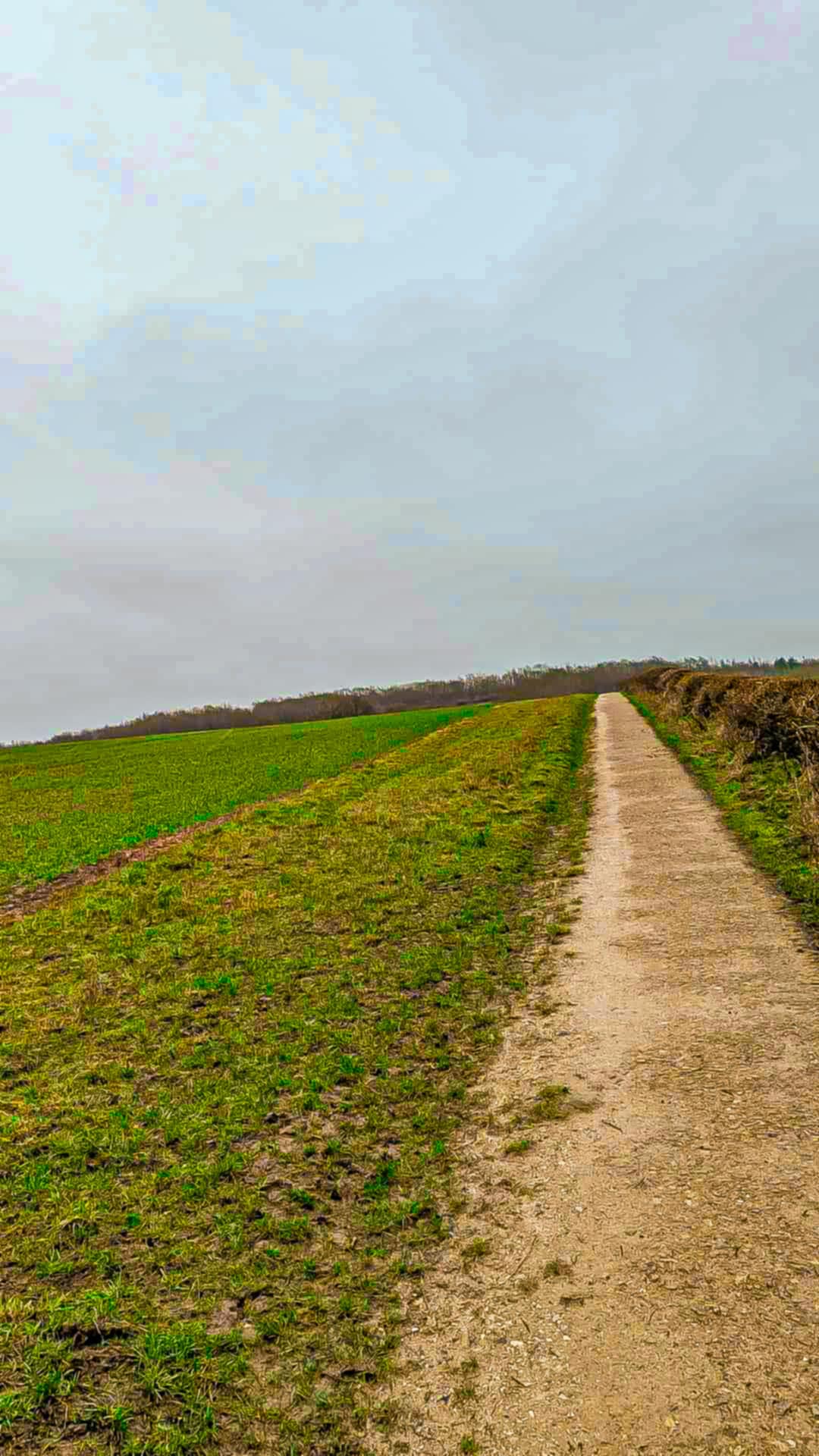 Pleasley Pit Guided Ride | Short Route | 5.3 Miles | £40