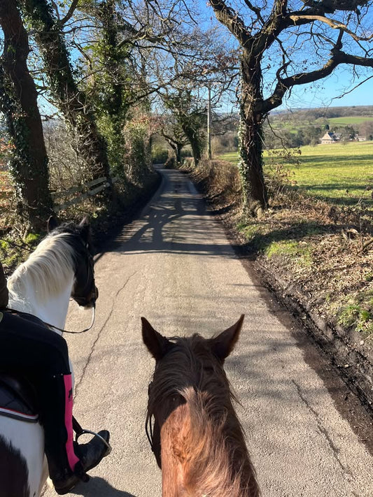 1–1 Guided Horse Ride | Monsal Trail, Longshaw & Chatsworth | £140