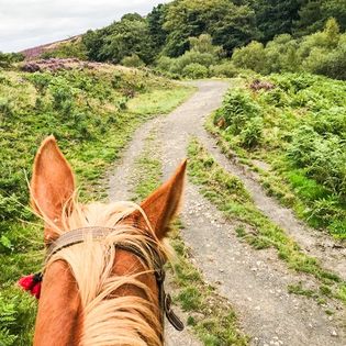 Moor Ride with Views over Curbar Edge | Nervous & Novice Horse Ride Derbyshire