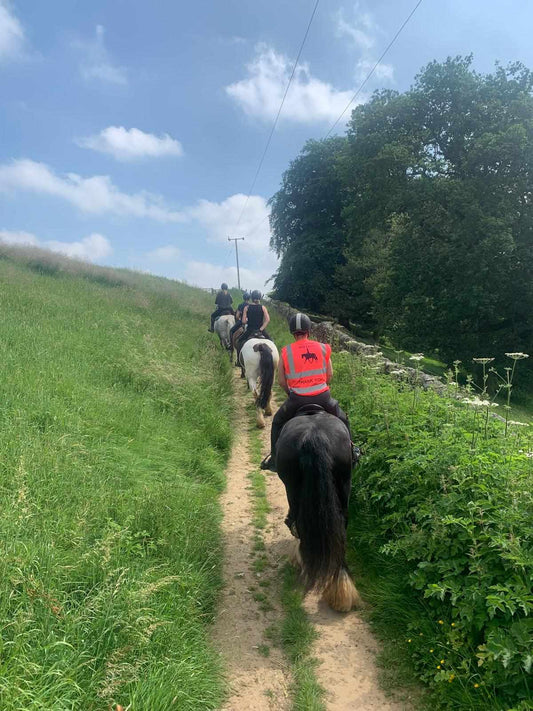 Chatsworth Guided Ride – Small Group Confidence Builder (4 Riders) | Lizzie & Muddles