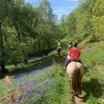 Horse & Rider Holidays in the Peak District ๐๐ฟ