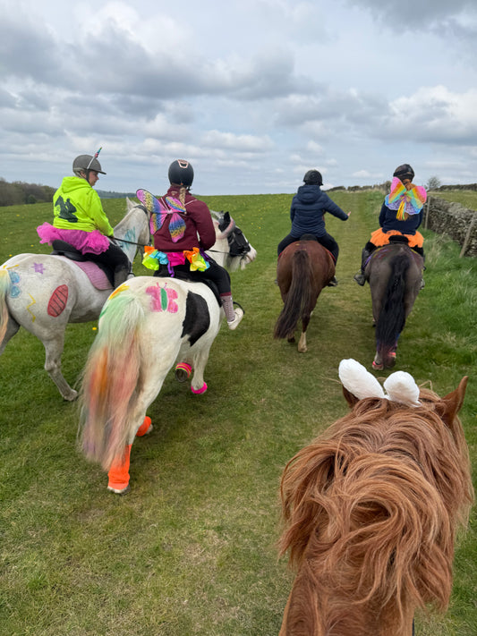 Chatsworth Guided Ride for Children (off lead rein)