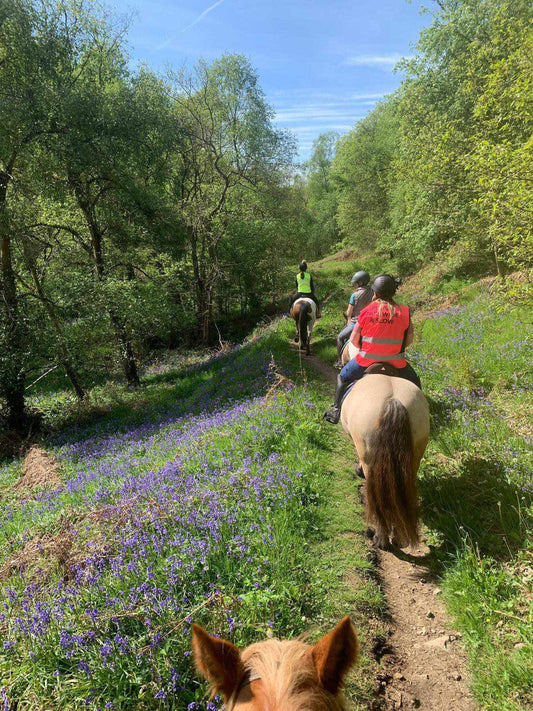 Moor Ride with Views over Curbar Edge | Nervous & Novice Horse Ride Derbyshire