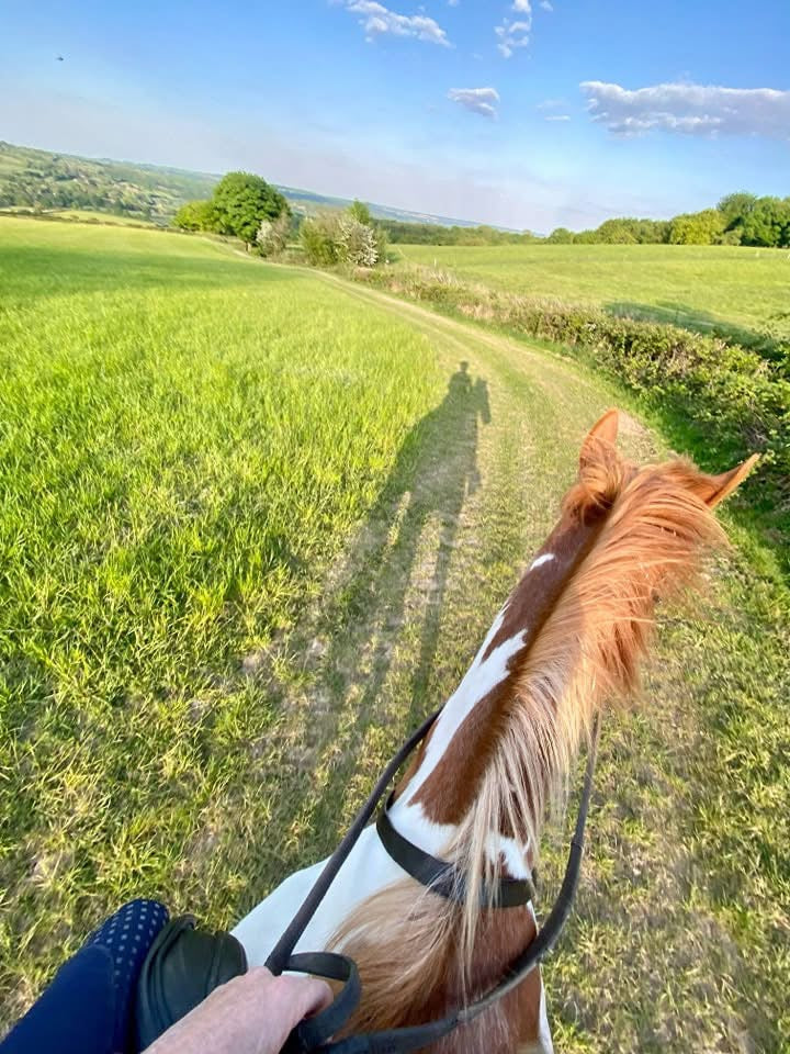 Farm Ride/ Gallops Hire