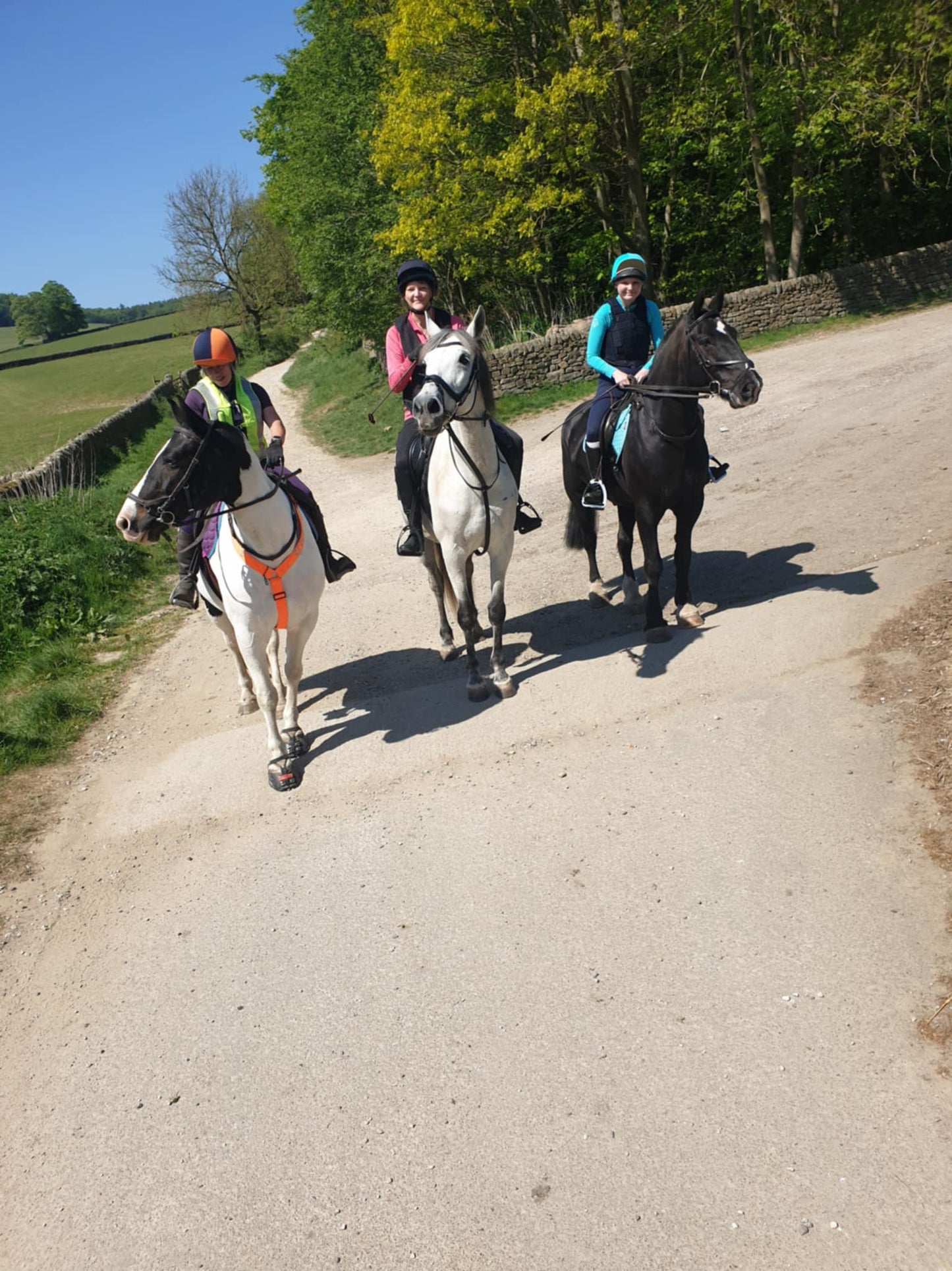 Chatsworth Kids Guided Ride