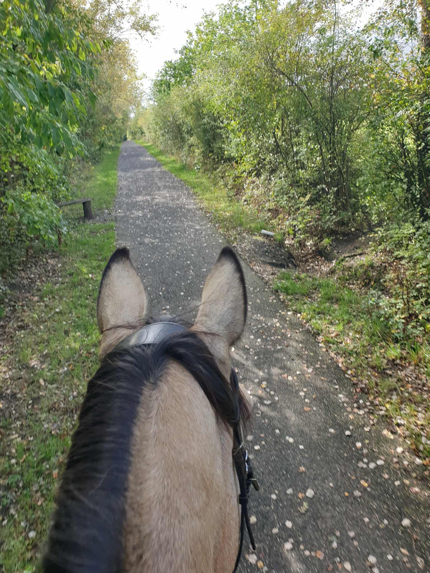 Five Pits Trail Guided Ride