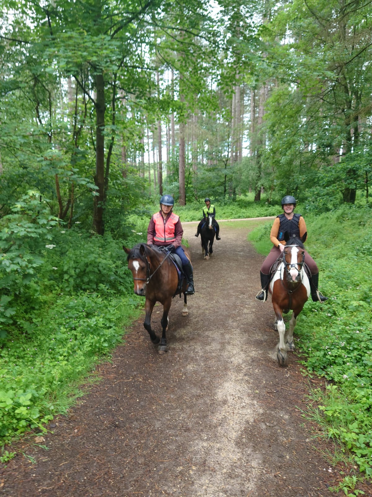 Blidworth Woods Confidence Guided Ride