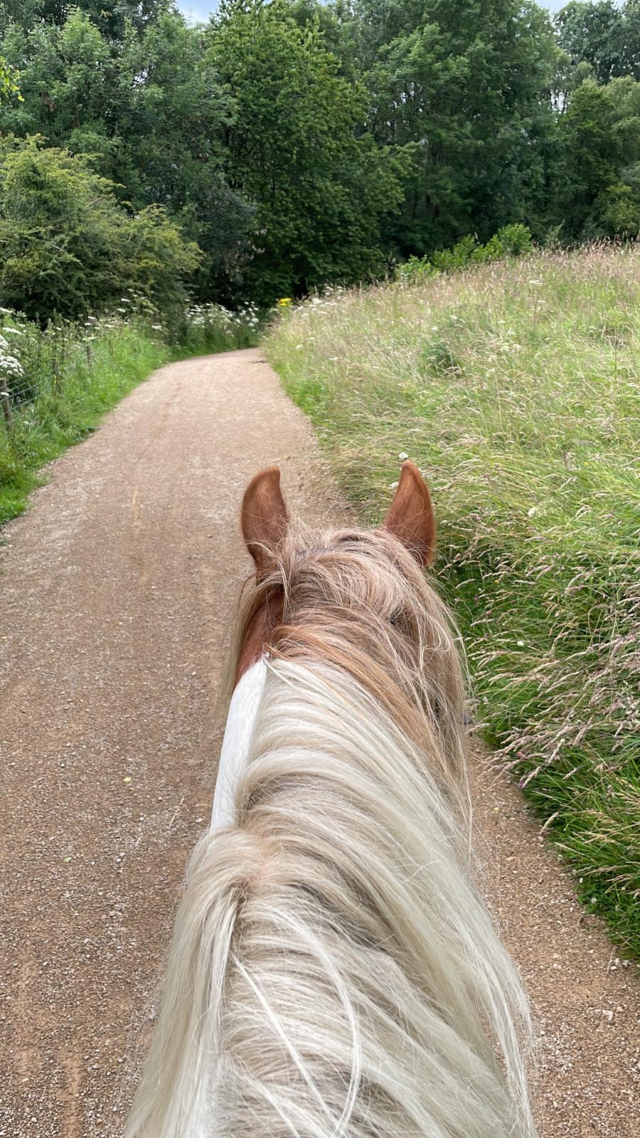 Carsington Water Guided Horse Ride | Led by Katy