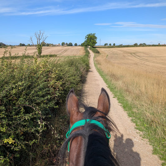 Pleasley Pit Guided Horse Ride | Silverhill & Teversal | Derbyshire | £40