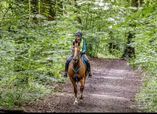Westwood & Poolsbrook Country Park Guided Ride