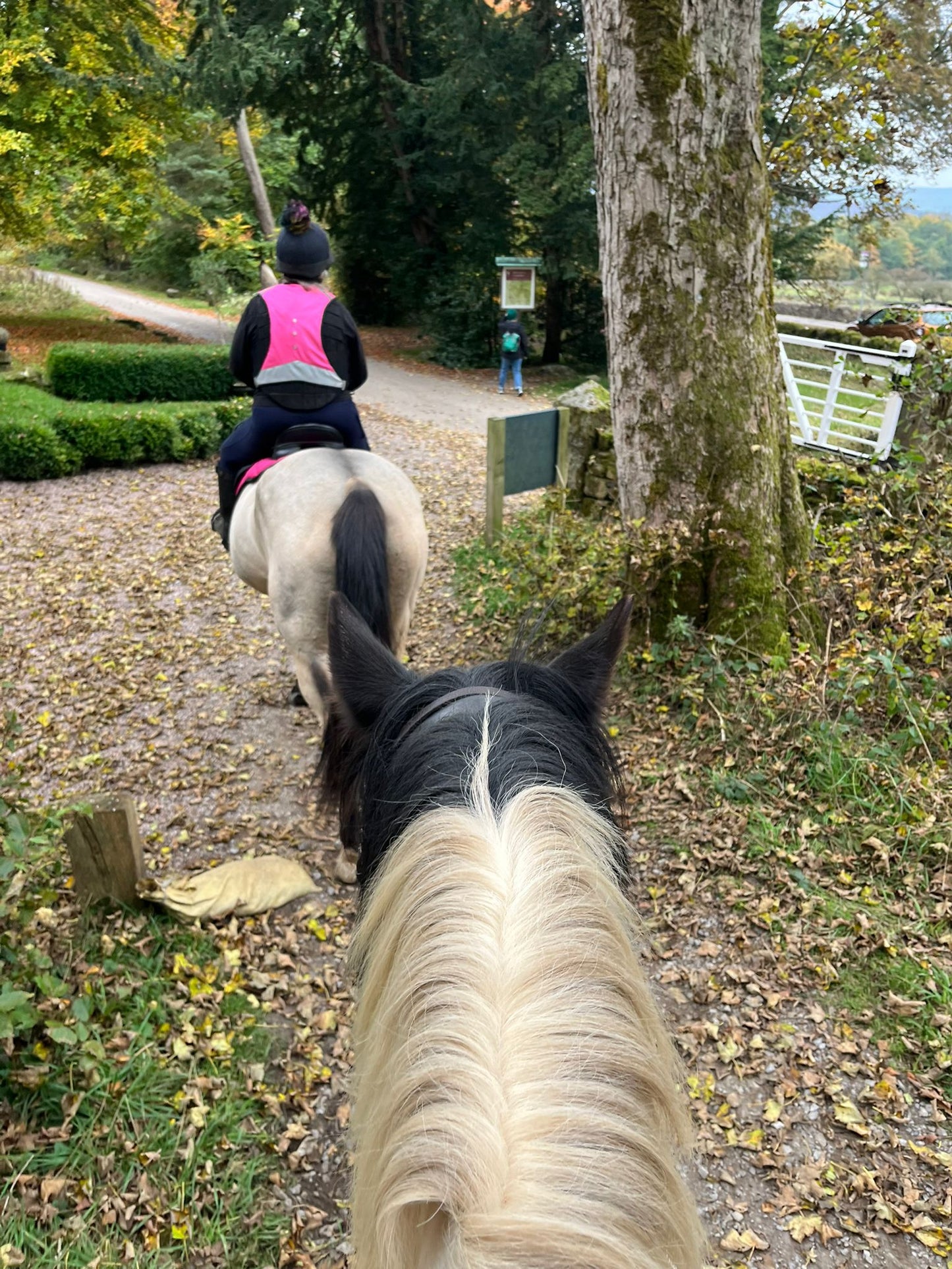Longshaw Estate Guided Ride