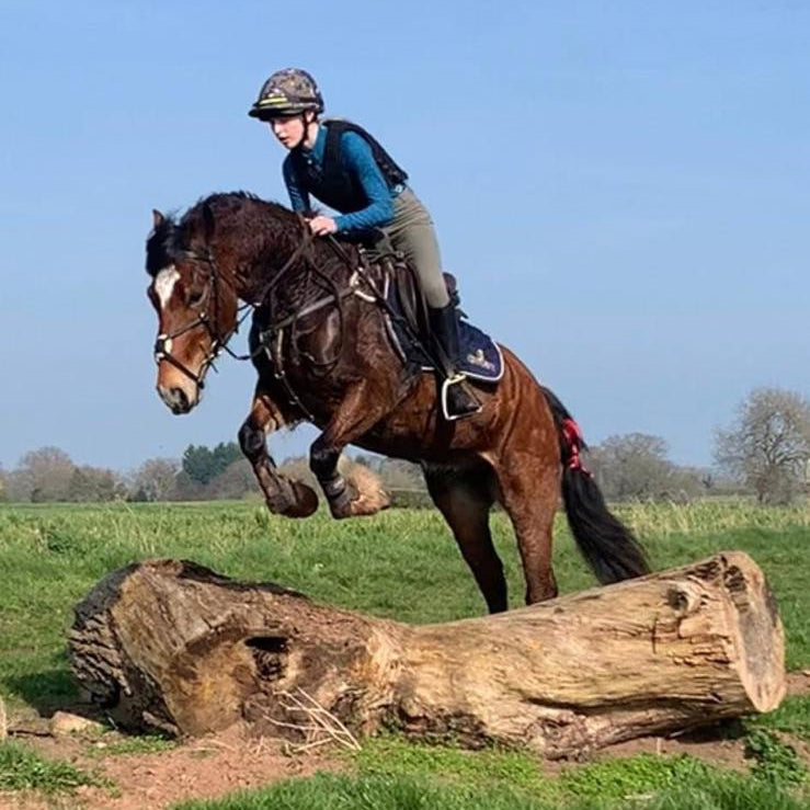 Tilstone Bank Guided Horse Ride | Cheshire | Cross Country