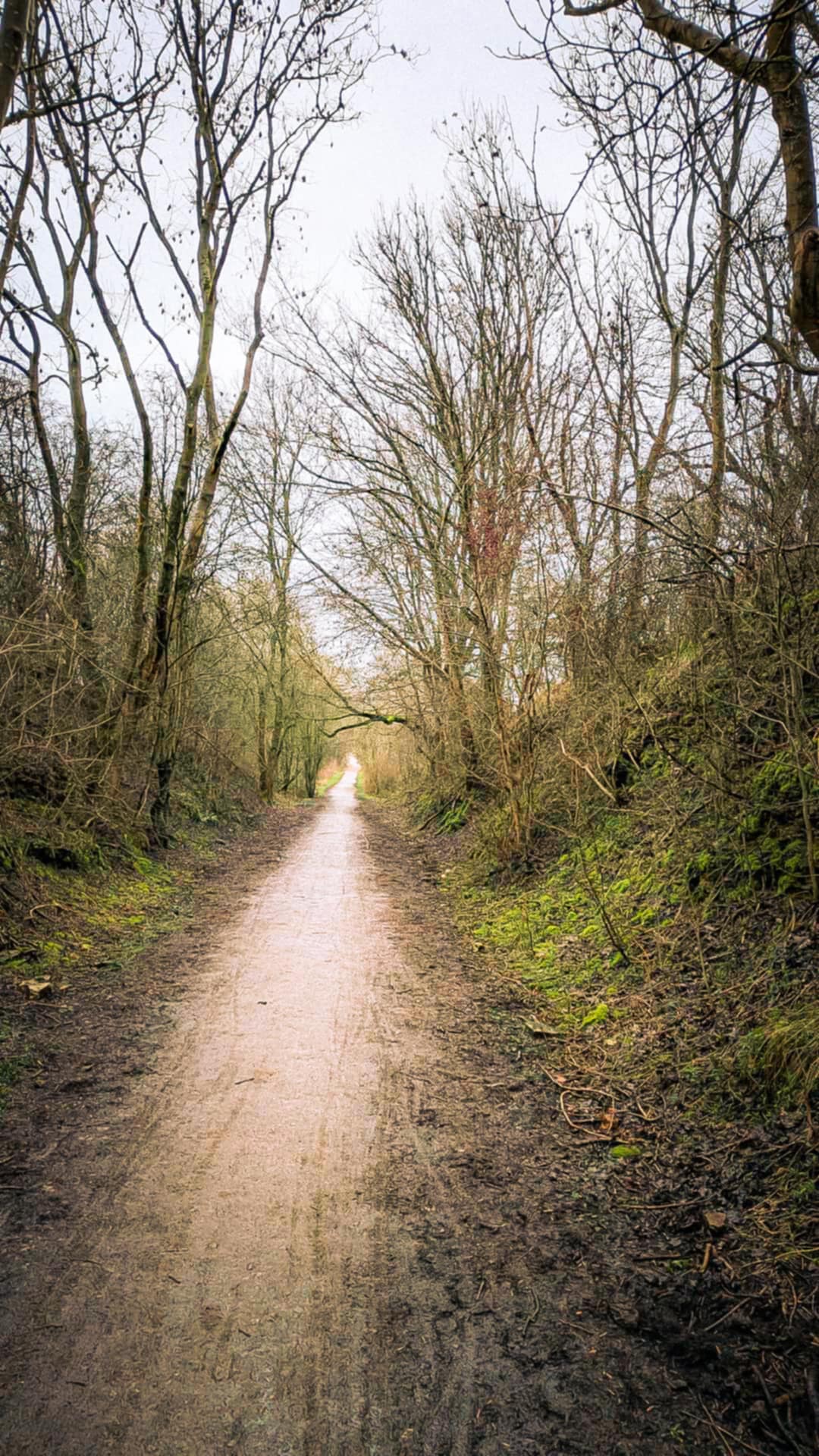 Pleasley Pit, Silverhill & Teversal Guided Ride