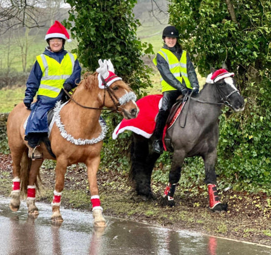 🎄 Christmas Guided Ride to Chatsworth – Tuesday 23rd December