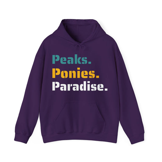 2025 Camp hoodie | Adults
