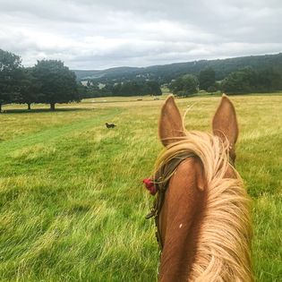1–1 Guided Confidence Hack Programme (6 Weeks)  With Tash & Tula + Lizzie & Muddle Peak District & Derbyshire | £500 | March Start