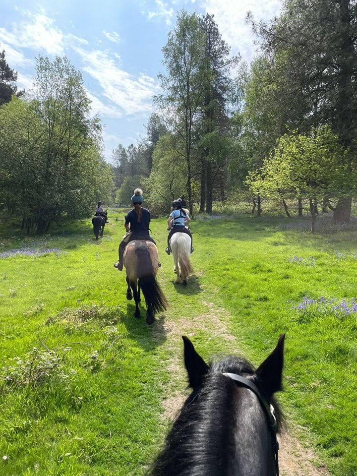 Chatsworth Guided Ride – Private Duo (2 Riders)