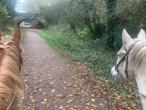1–1 Guided Horse Ride | Monsal Trail, Longshaw & Chatsworth | £140