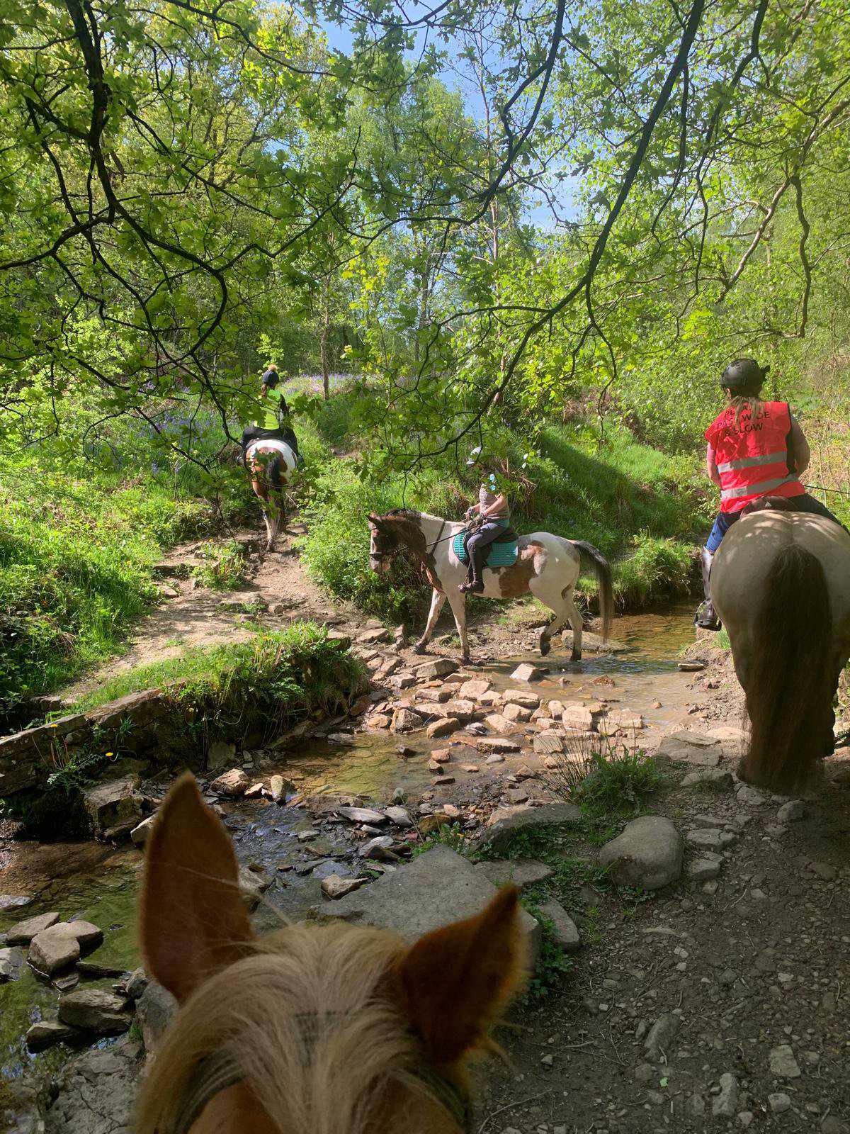 1–1 Guided Confidence Hack Programme (6 Weeks)  With Tash & Tula + Lizzie & Muddle Peak District & Derbyshire | £500 | March Start