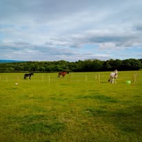 Confidence Camp with Tash & Tula | 2 Rider Exclusive | 5th–7th June