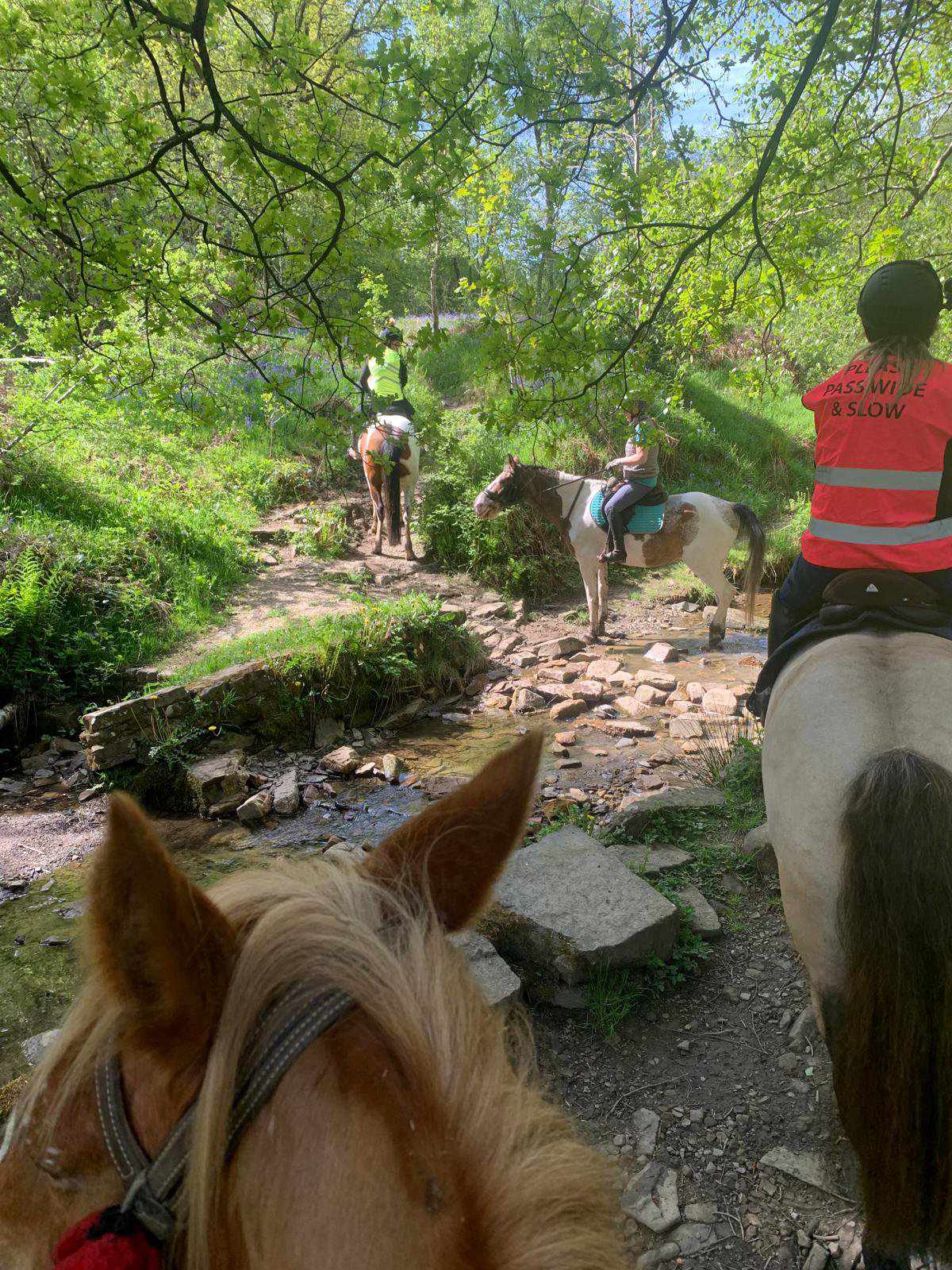 Horse & Rider Holidays in the Peak District 🐎🌿