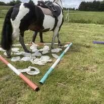 Confidence Camp with Tash & Tula | 2 Rider Exclusive | 5th–7th June