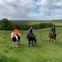 Confidence Camp with Tash & Tula | 2 Rider Exclusive | 5th–7th June