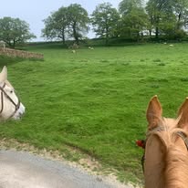 Peak District Horse Riding Camp – Chatsworth & Moorland Guided Ride Weekend (23–25 May)