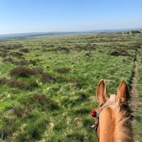 Horse & Rider Holidays in the Peak District 🐎🌿