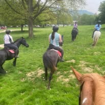 Peak District Horse Riding Camp – Chatsworth & Moorland Guided Ride Weekend (23–25 May)