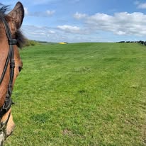 Rider & Horse Partnership Camp with Katy Thompson