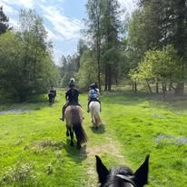 Rider & Horse Partnership Camp with Katy Thompson