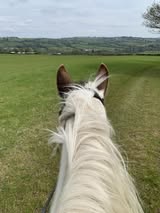 Private Off-Road Farm Ride & Gallops – 4 Mile Circular Route | Derbyshire (S18)