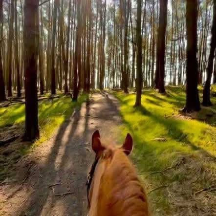Ladybower Guided Ride - Long - 9 Miles