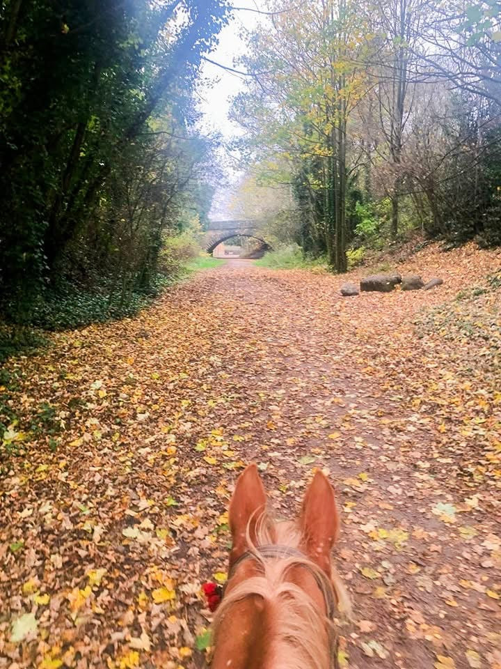 Monsal Trail Guided Ride - Nervous & Novice