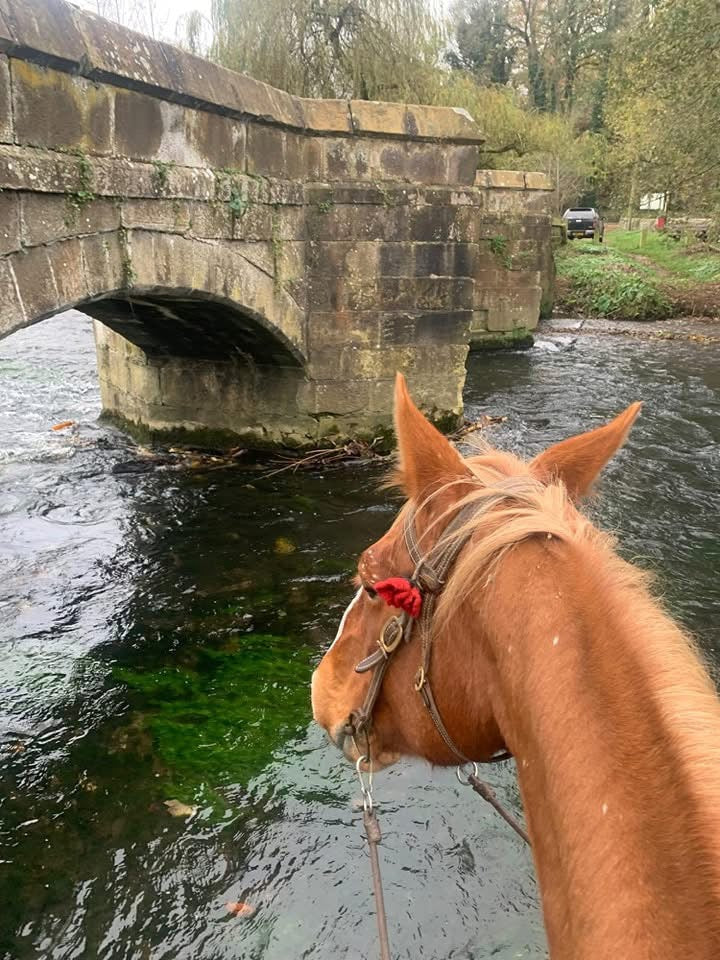 Monsal Trail Guided Ride - Nervous & Novice