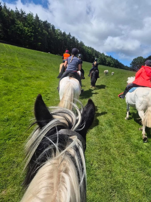 Chatsworth Parent & Child Guided Ride