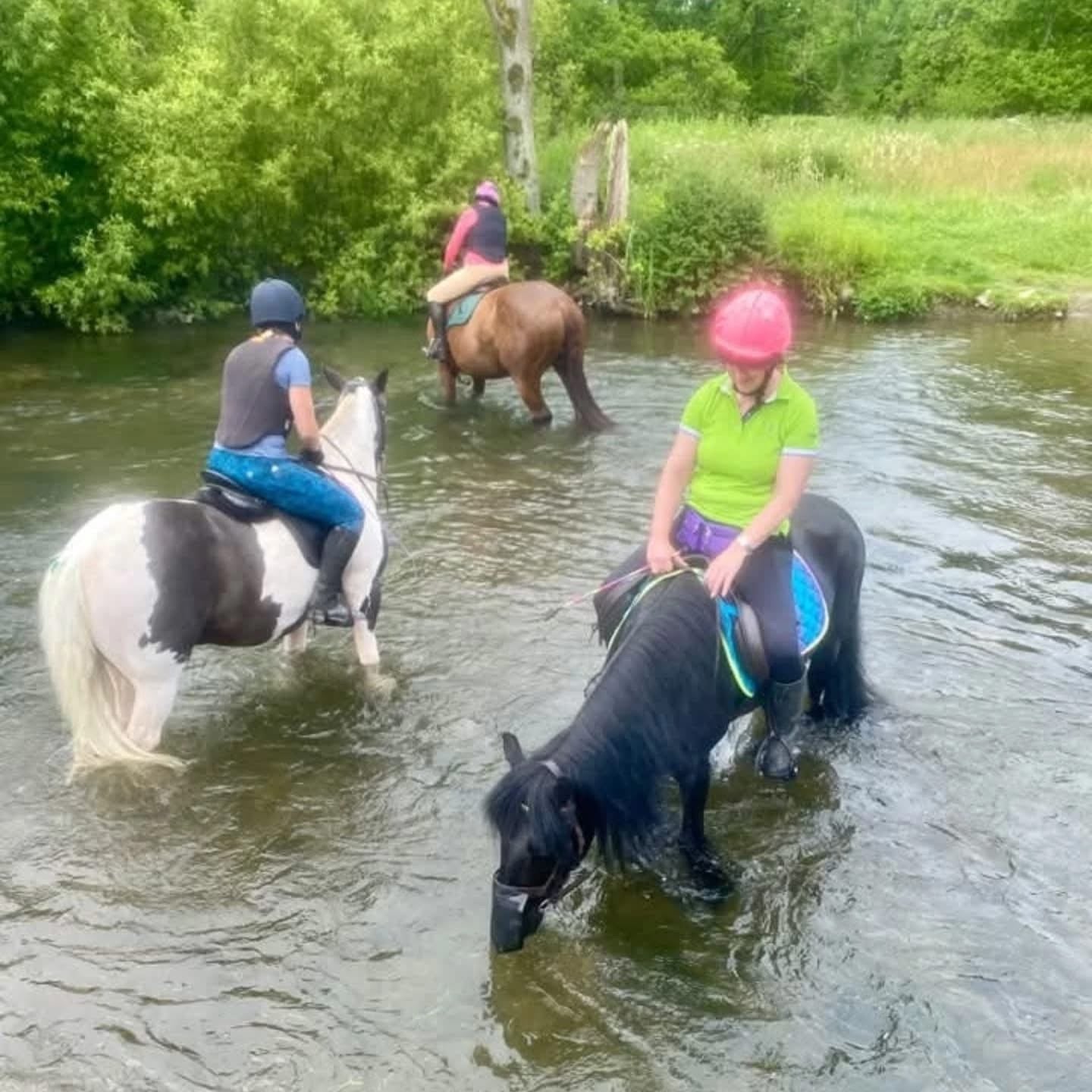 Guided ride camp - including Chatsworth