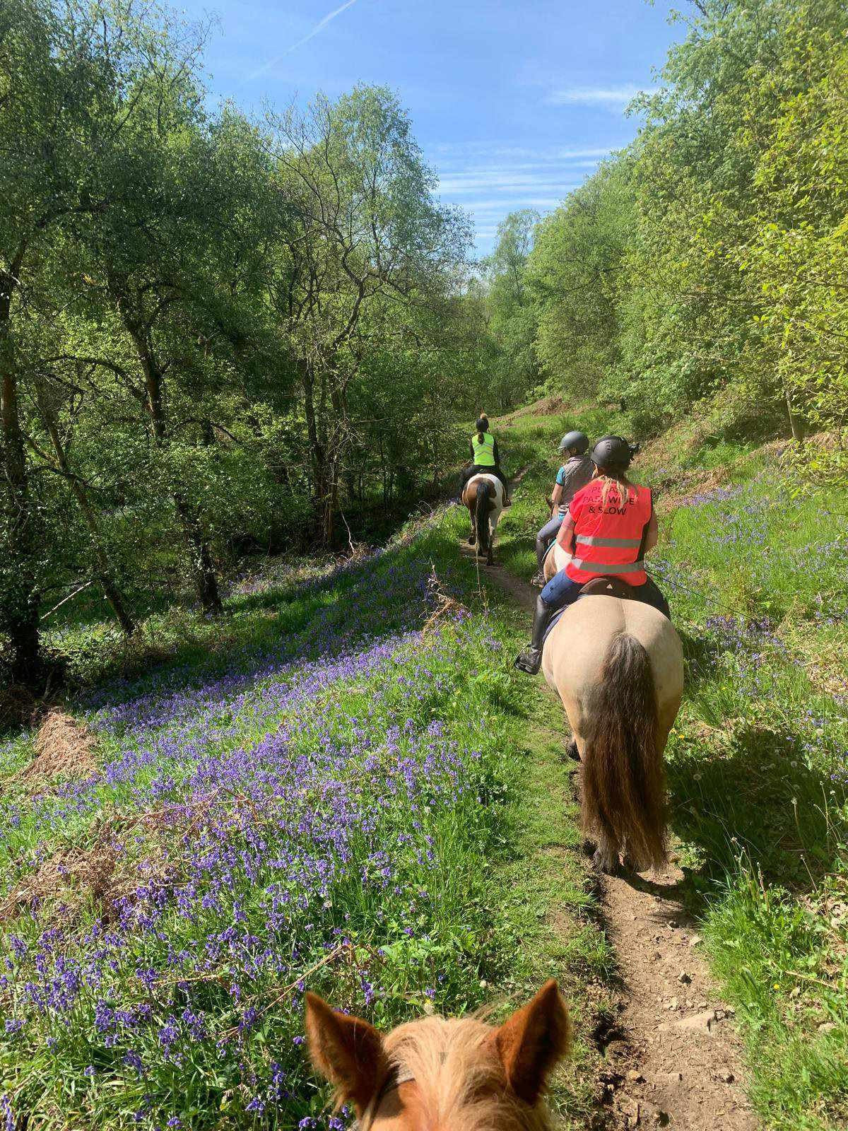 Moor Ride with views over Cubar Edge - Nervous and Novice
