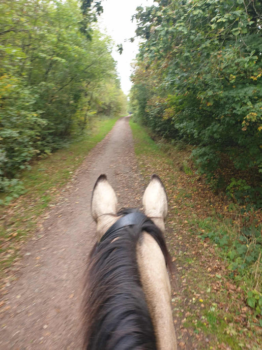 Five Pits Trail Guided Ride