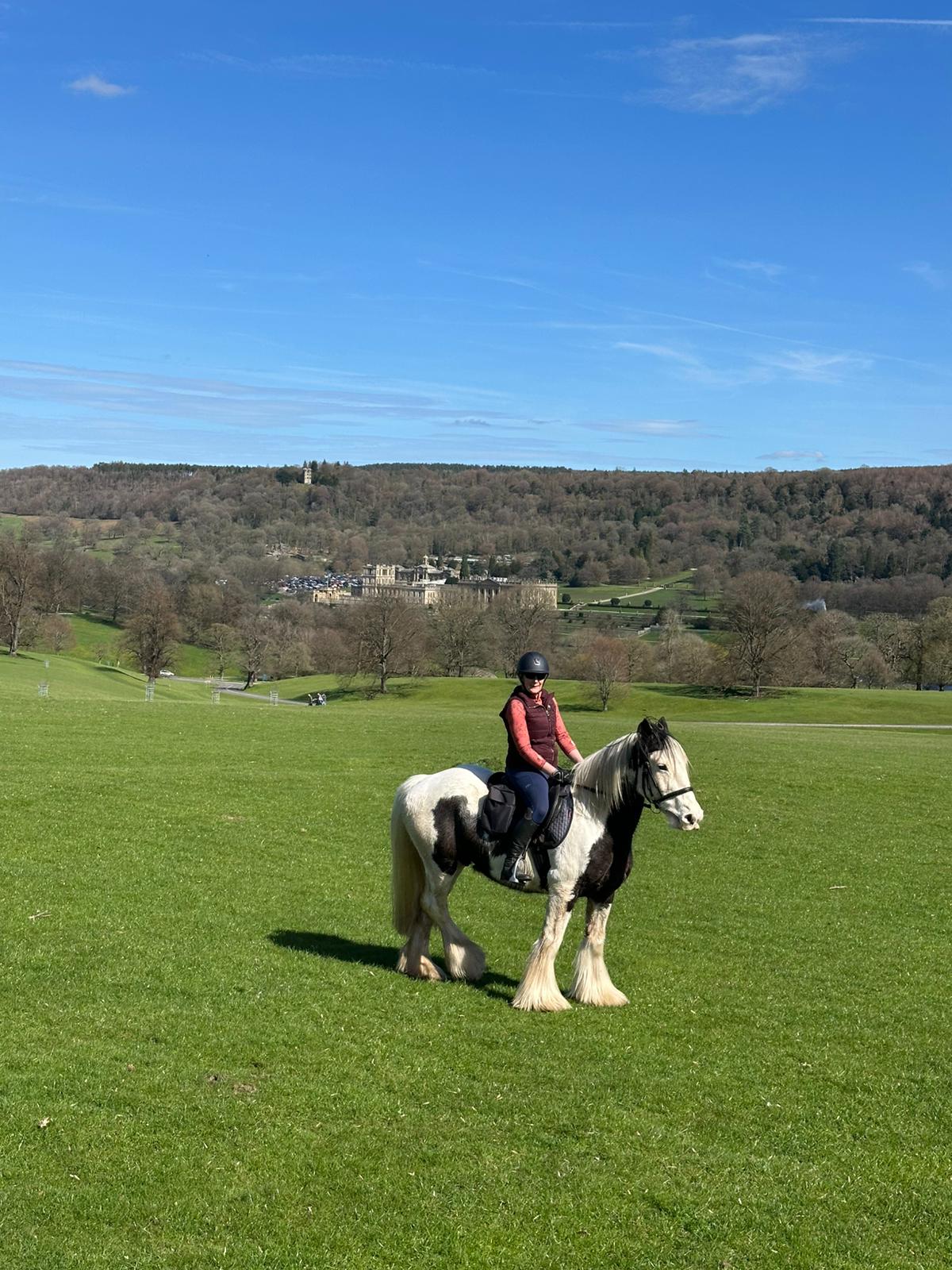Rider & Horse Partnership Camp with Katy Thompson