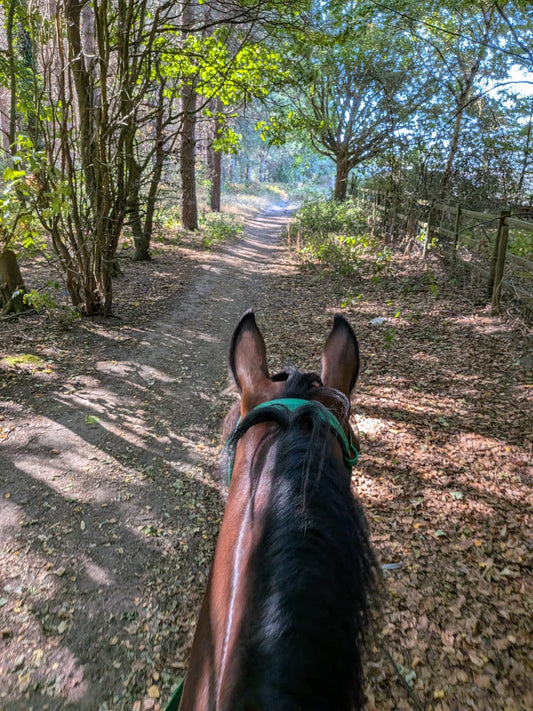 Blidworth Woods Afternoon Confidence Ride
