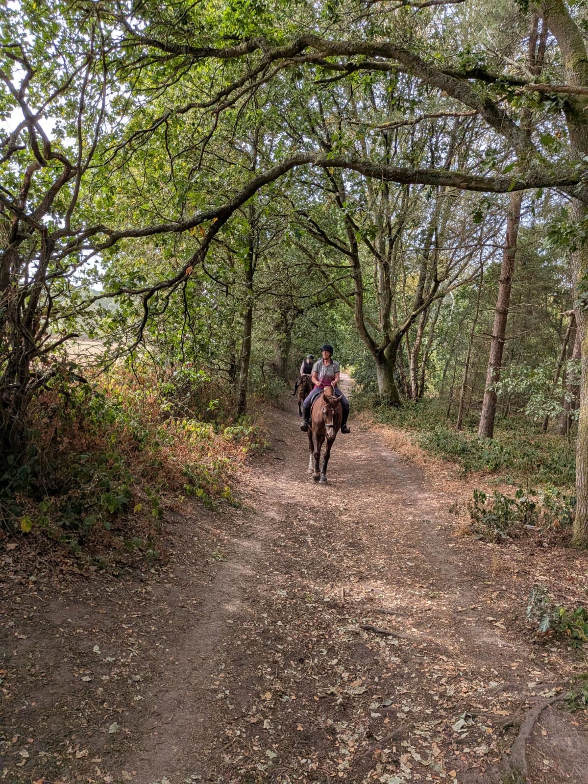 Blidworth Woods Afternoon Confidence Ride