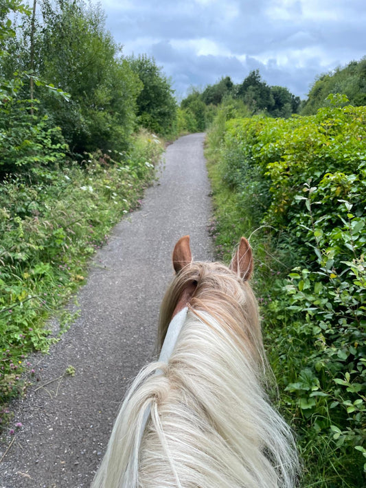 Carsington Water Guided Horse Ride | Led by Katy
