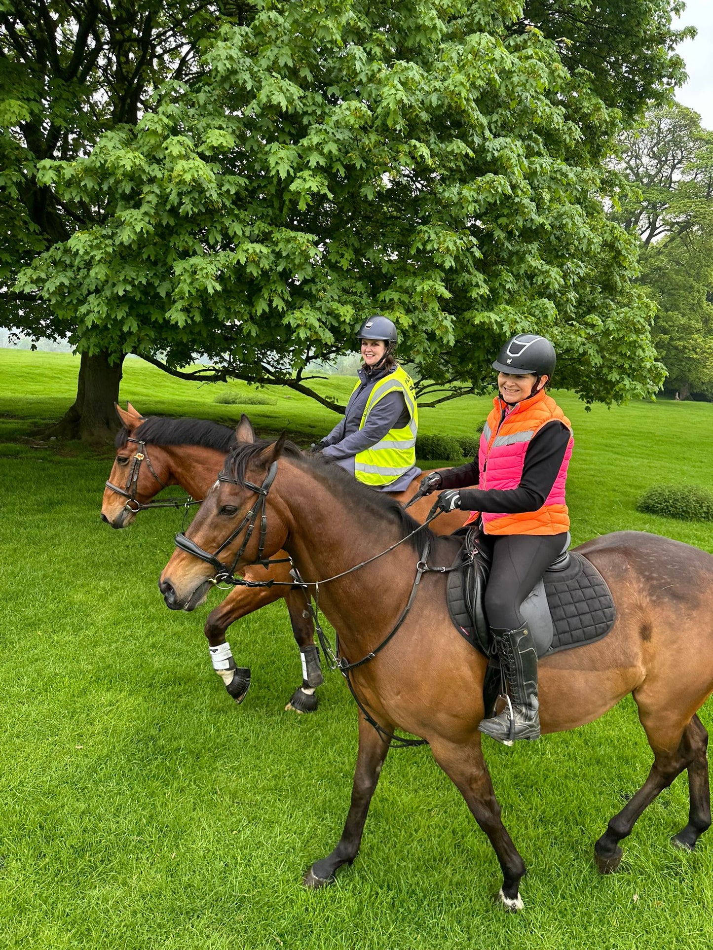 Rider & Horse Partnership Camp with Katy Thompson