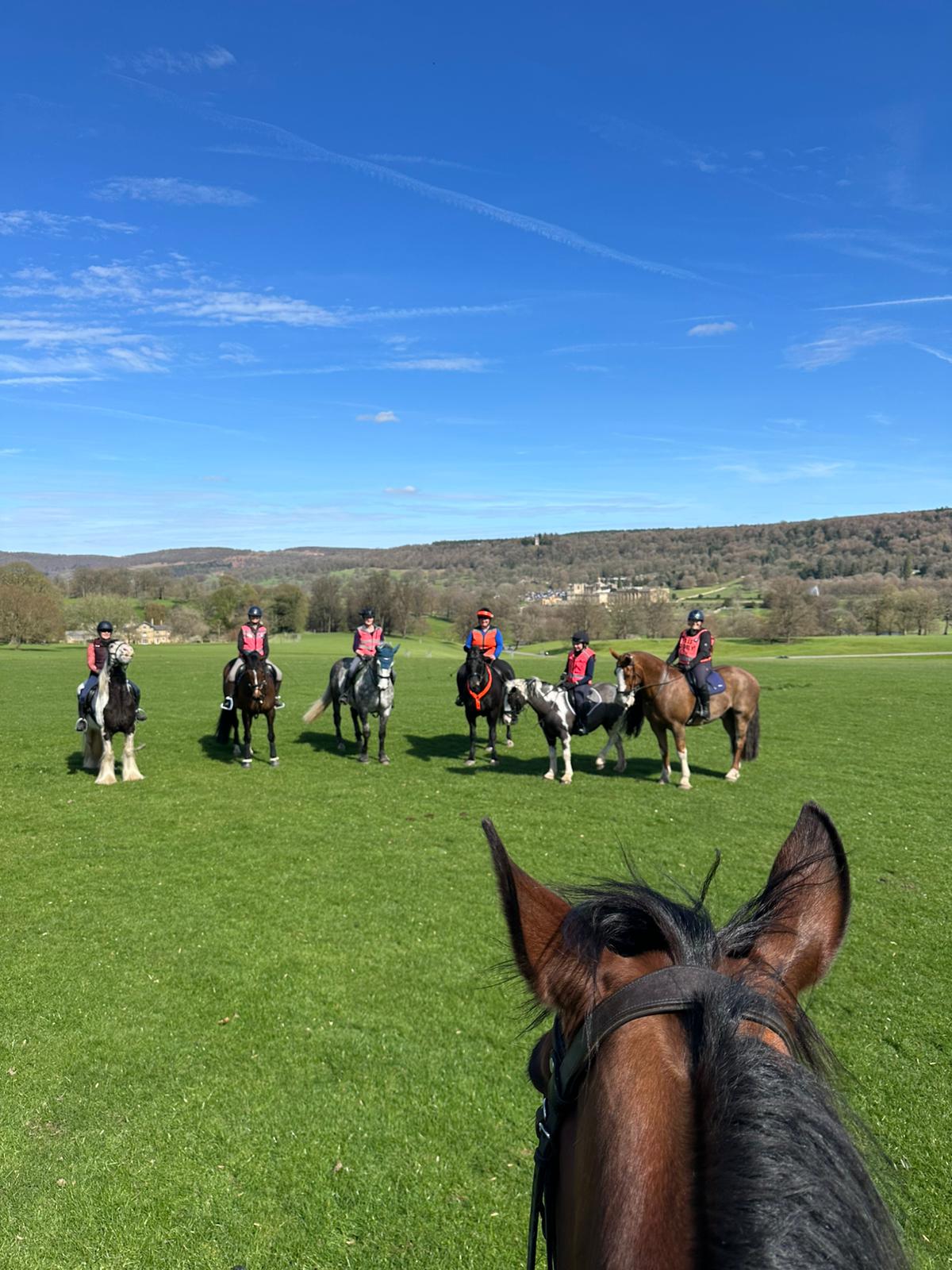 Rider & Horse Partnership Camp with Katy Thompson