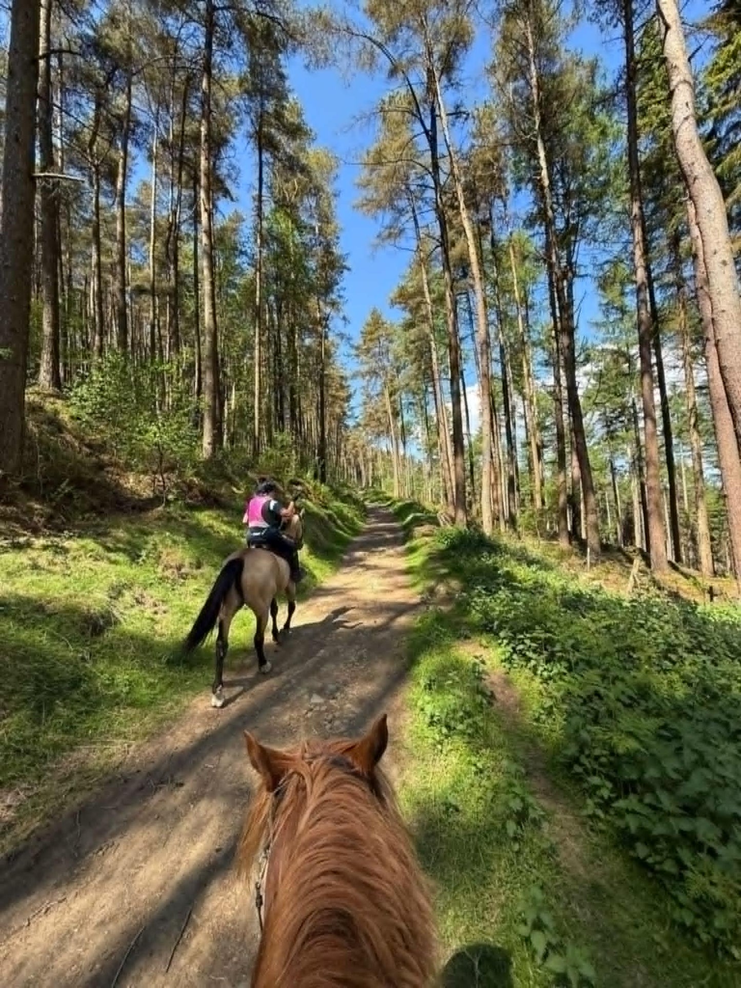 Upper Derwent Valley Guided Ride
