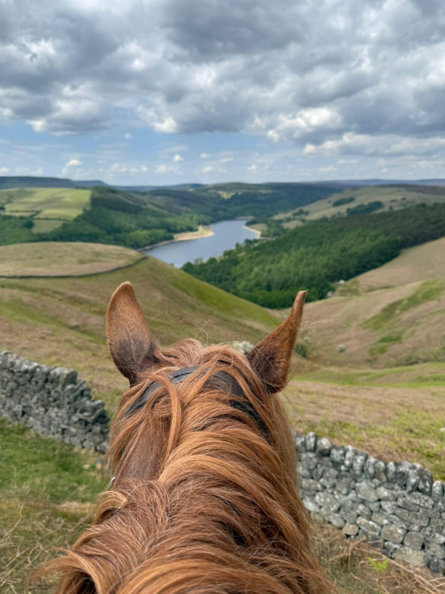 Upper Derwent Valley Guided Ride