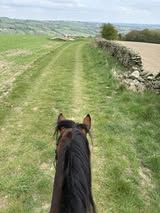 Private Off-Road Farm Ride & Gallops – 4 Mile Circular Route | Derbyshire (S18)